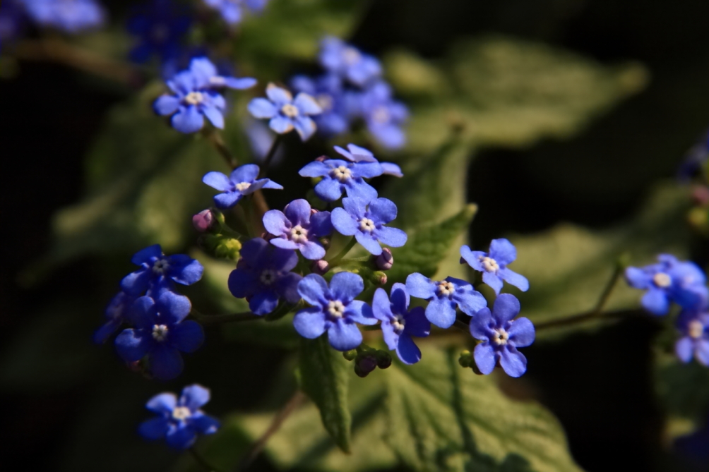 2011 04 25 IMG 28593